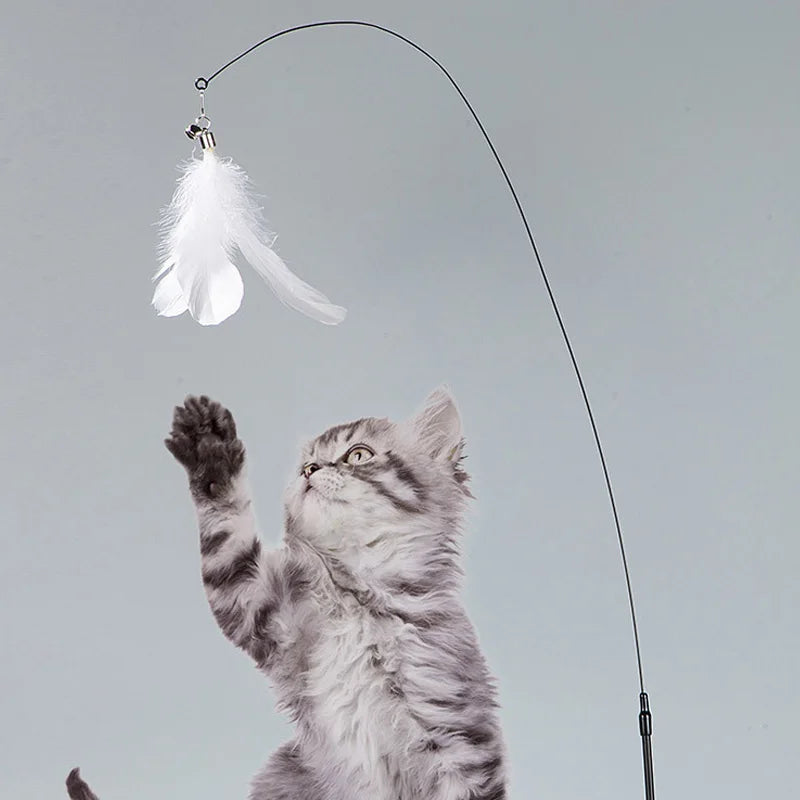 Cats Toys Feathers Wand Interactive Toy Kitten Toys with Super Suction Cup - TBPETS 