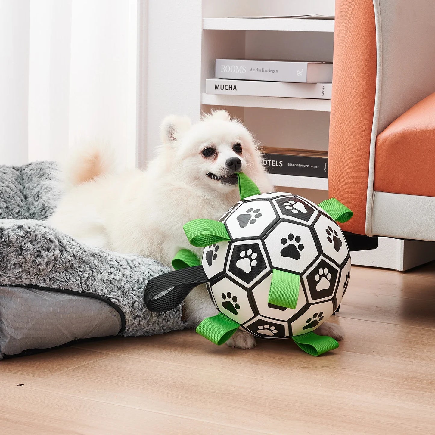 Dog Toys Ball with Straps - TBPETS 