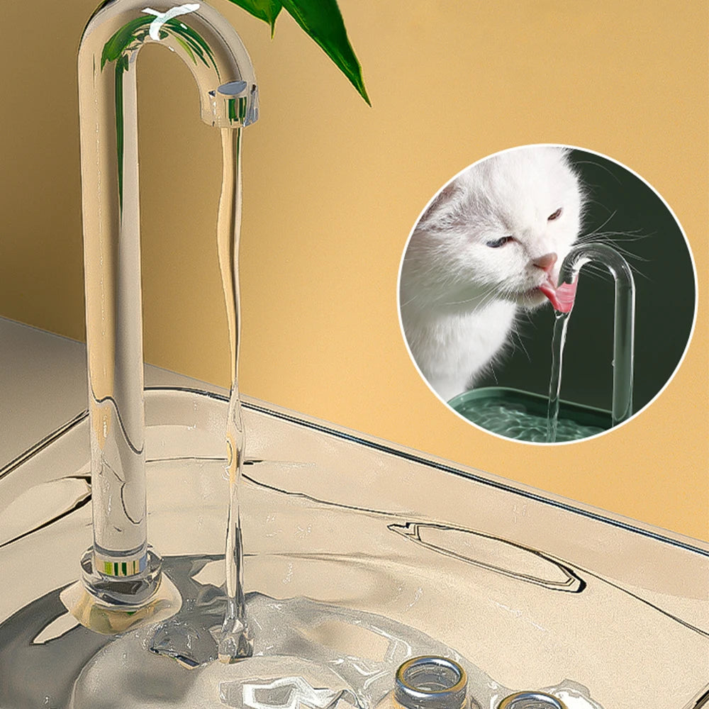 Cat Water Fountain Auto Filter Transparent Cat Drinker - TBPETS 